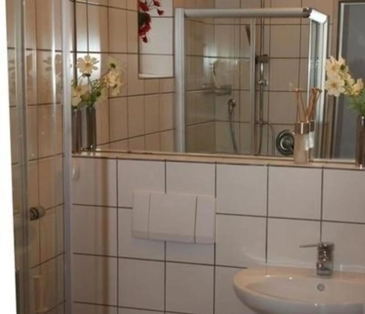Ferienhaus Adele - Allergiker Geeignet Zandt 0*,
